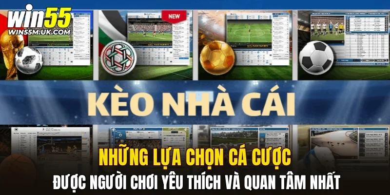 Những lựa chọn cá cược được người chơi yêu thích và quan tâm nhất